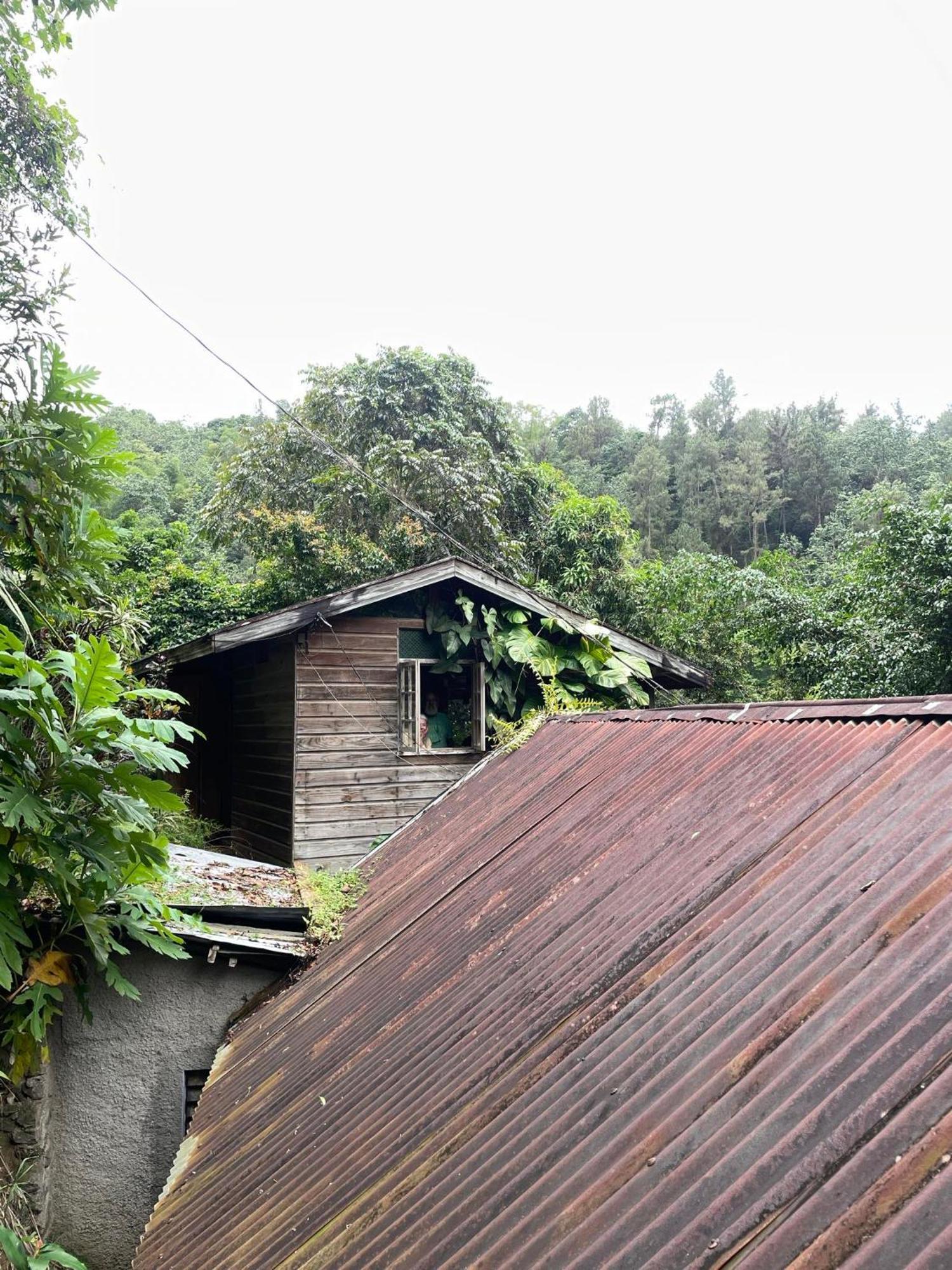 Dustry Cottages Κίνγκστον Εξωτερικό φωτογραφία